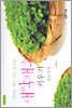 새싹채소 키우기