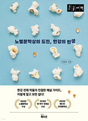 노벨문학상의 도전, 한강의 탄생 (큰글자책)