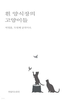 흰 양식장의 고양이들