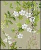 刺しゅうノ-ト 野草のスケッチ   2