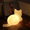 고양이 뒷태 LED 무드등 2color + USB 충전식