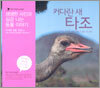 커다란 새 타조