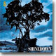 Shinedown - Leave A Whisper
