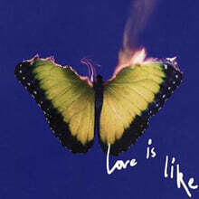 Maroon 5 (마룬 파이브) - 8집 Love Is Like