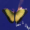 Maroon 5 (마룬 파이브) - 8집 Love Is Like
