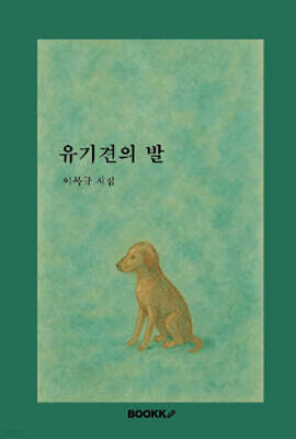 유기견의 발