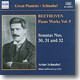 Artur Schnabel 베토벤: 피아노 소나타 30번 31번 32번 (Beethoven: Piano Works Vol.9) 아르투르 슈나벨