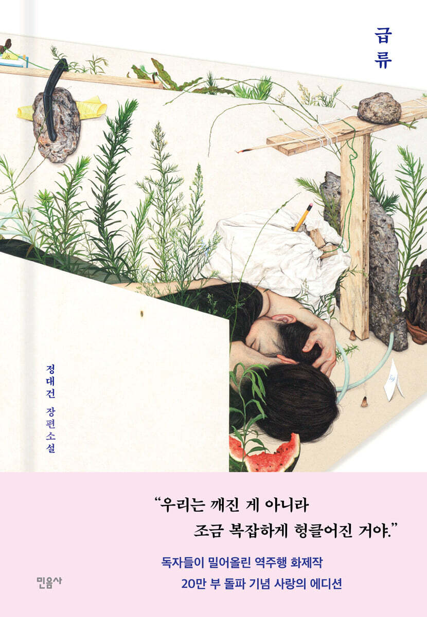 급류 (특별판)