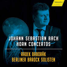 Radek Baborak 바흐: 호른 협주곡 작품집 (Bach: Horn Concertos)