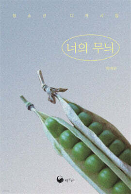 너의 무늬(장애인 접근성 강화 도서)