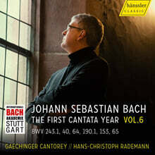 Hans-Christoph Rademann / Gaechinger Cantorey 바흐: 칸타타 에디션 6집 ((Bach: The First Cantata Year Vol.6)