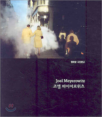 조엘 마이어로위츠 Joel Meyerowitz