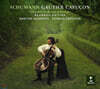 Gautier Capucon 슈만: 첼로 협주곡 (Schumann: Cello Concerto & Chamber Works)