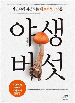 [대여] 야생버섯