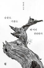 슬픔도 기쁨도 왜 이리 찬란한가