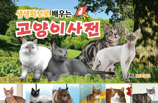 생생화보로 배우는 고양이사전 (보급판)