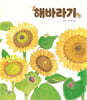 해바라기