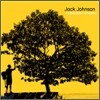 Jack Johnson - In Between Dreams