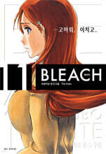 블리치 리믹스 11