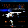 존 노이마이어 - 발레 '유리 동물원' (The Glass Menagerie - A Ballet By John Neumeier) (한글무자막)(Blu-ray) (2025) - Alina Cojocaru