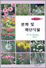 분화 및 화단식물