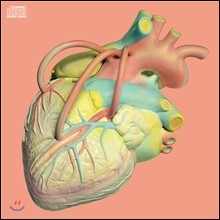 장기하와 얼굴들 3집 - 사람의 마음