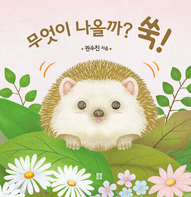 무엇이 나올까? 쑥!