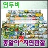 [연두비]쫑알이자연관찰(전71권+동요CD2장)/최신간 정품새책/당일배송