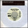 David Gray - Other Side (7" Single)(LP)