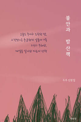 불안과 밤 산책