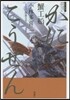 現代語譯名作シリ-ズ(3)蟹工船