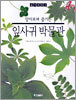 알아보며 즐기는 잎사귀 박물관