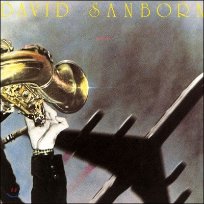 David Sanborn - Taking Off