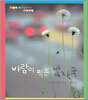 바람이 찍은 발자국