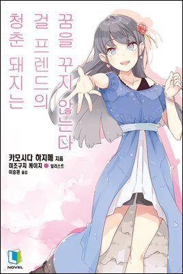 청춘 돼지는 걸 프렌드의 꿈을 꾸지 않는다  - 청춘 돼지는 14