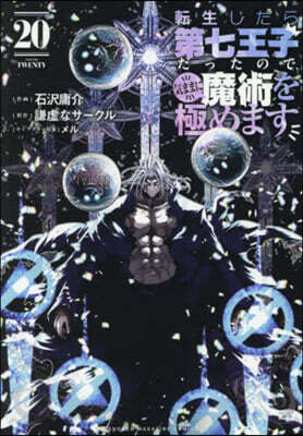 轉生したら第七王子だったので,氣ままに魔術を極めます 20