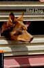 Oxford Bookworms Library 3/E 2: Red Dog (with MP3)