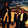 Big Head Todd and The Monsters (빅 헤드 토드 앤드 더 몬스터즈) - Sister Sweetly [씨블루 컬러 LP]