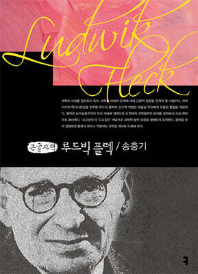 루드빅 플렉 (큰글자책)