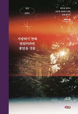 사랑하기 전에 알았더라면 좋았을 것들 (큰글자도서)