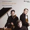 Trio Wanderer 슈베르트: 피아노 트리오 (Schubert: Piano Trios. Nos.1 & 2)