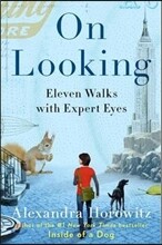 On Looking
