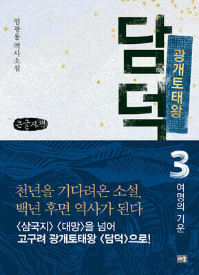 광개토태왕 담덕 3 (큰글자책)