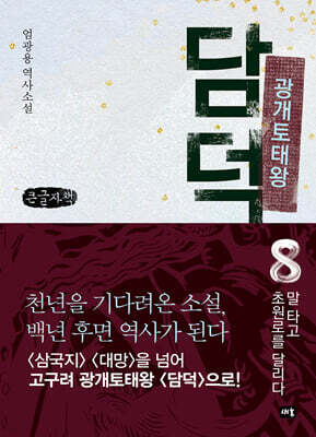 광개토태왕 담덕 8 (큰글자책)