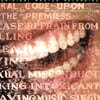 Alanis Morissette (앨러니스 모리셋) - Supposed Former Infatuation Junkie [SACD Hybrid]
