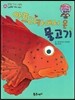 와우 그림책이 최고야 65 아프리카에서 온 물고기 (상상력을 기르는 이야기) (양장)