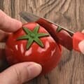 토마토 가정용 칼갈이 가위갈이