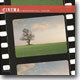Cinema : A Windham Hill Collection 시네마 : 윈드햄 힐 콜렉션