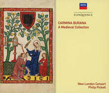Philip Pickett 카르미나 부라나 - 중세 음악 모음집 (Carmina Burana - A Midieval Collection) [4CD 박스세트]