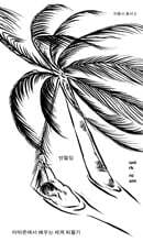 언월딩 : 아마존에서 배우는 세계 허물기